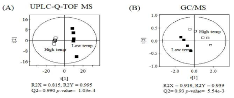 고온볶음처리 들깨곡의 UPLC-Q-TOF MS(A) 및 GC/MS를 분석한결과 PLS-DA score