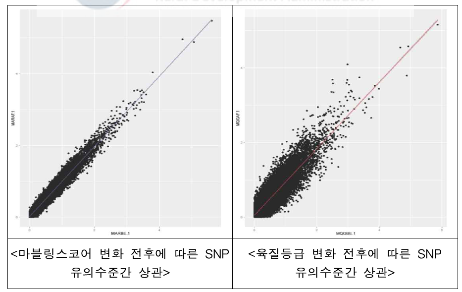 개정 등급전·후에 따른 SNP의 유의수준에 대한 순위상관