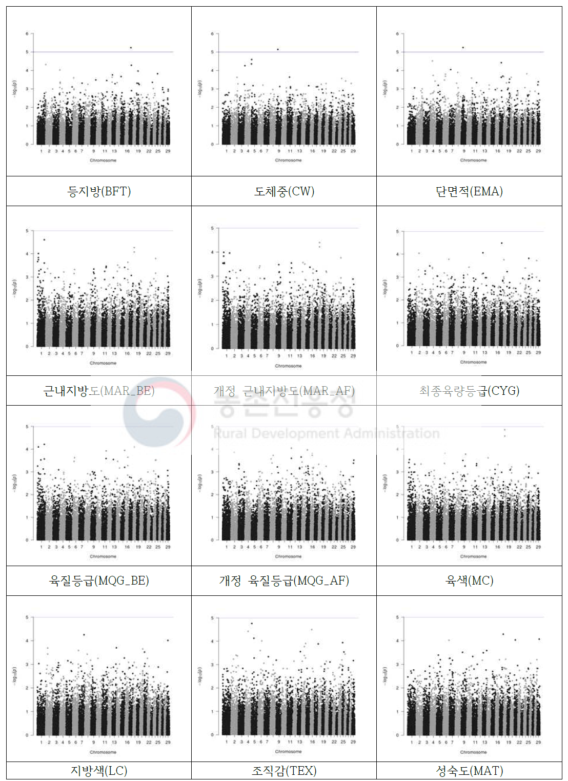 12가지 신규 도체등급 관련 형질에 대한 manhattan plot