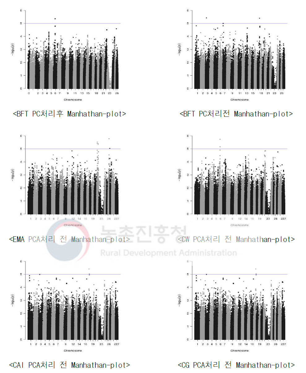 육량 관련 전장유전체연관분석에 대한 Manhattan plot