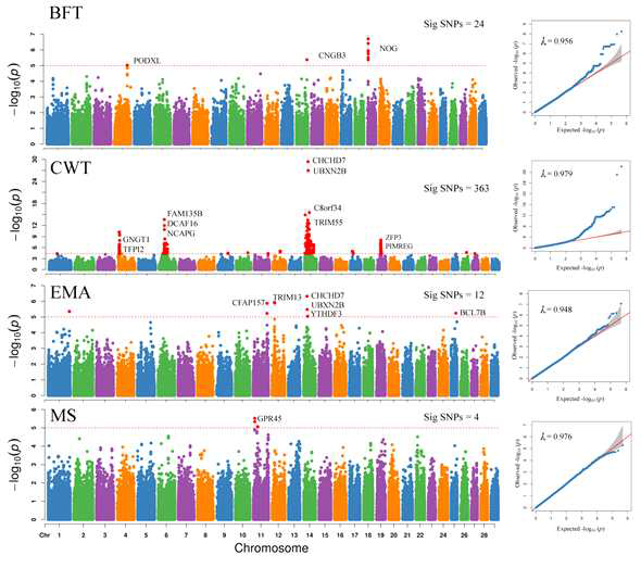 Regulatory SNPs 및 coding SNPs 활용 GWAS 분석 결과