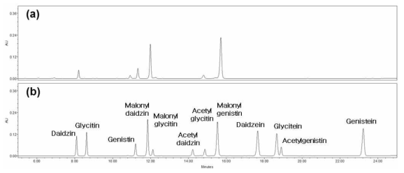 200mM Tris in 60%(v/v) methanol/DW로 추출한 (a)청자 3호의 크로마토그램 결과와 (b)이소플라본 표준품 12종 복합물의 크로마토그램 결과