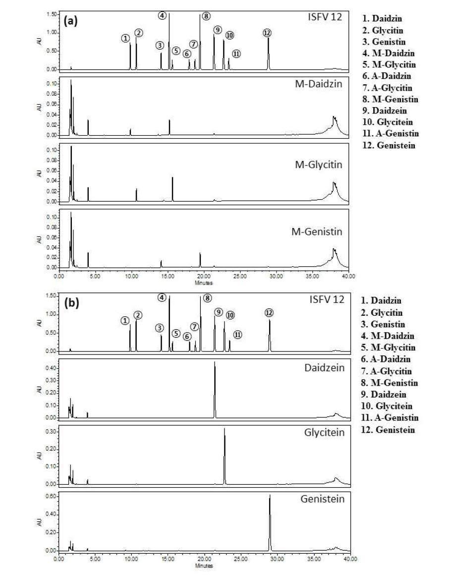 인체 소화액 모사 (simulated intestinal fluid, pH 7.0) 조건에서 (a)6’’-O-malonyldaidzin, 6’’-O-malonylglycitin, 6’’-O-malonylgenistin과 (b)daidzein, glycitein, genistein 성분 변화 측정 크로마토그램 (UV : 254 nm)