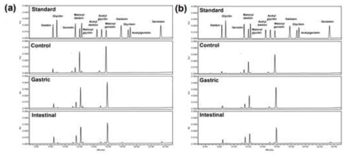 인체 소화액 모델을 적용한 (a)우람과 (b)청자4호의 이소플라본 크로마토그램