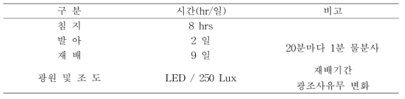 정제 이소플라본의 수율 및 이소플라본 함량