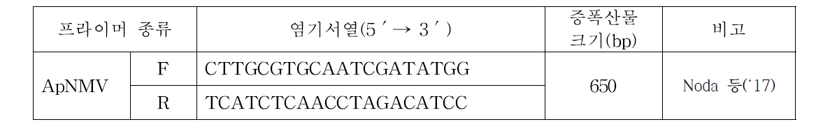 사과 ApNMV 특이 프라이머 염기서열