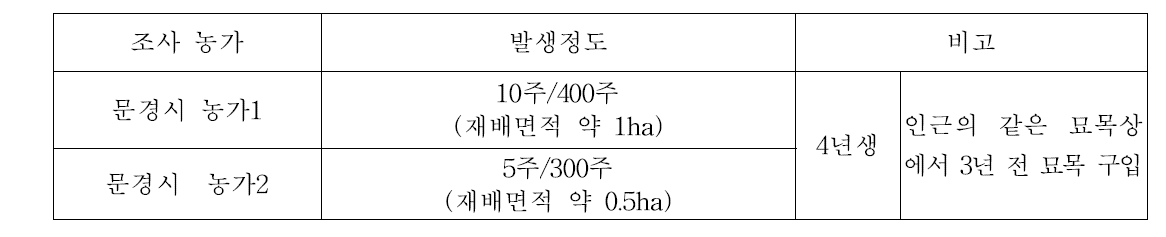 ‘감홍’ 품종의 사과바이로이드(ASSVd) 발생조사