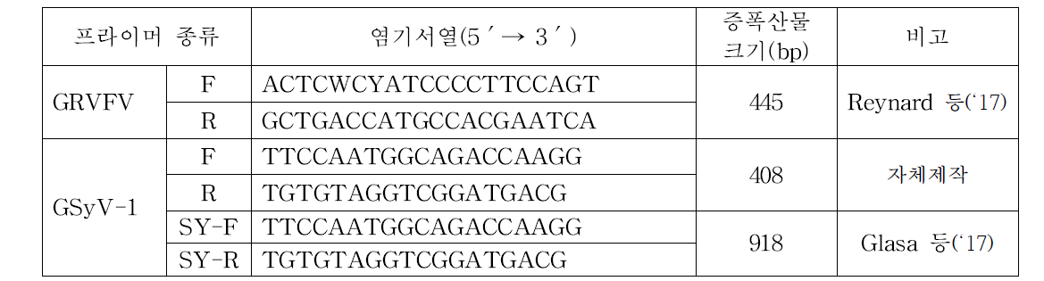 포도 GRVFV, GSyV-1 특이 프라이머 염기서열