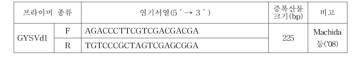 포도 GYSVd1 특이 프라이머 염기서열