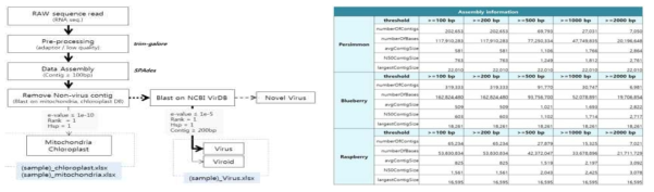 NGS 데이터 분석 과정 및 단감, 소과류 assembly 분석 정보