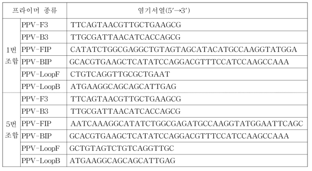 PPV의 등온증폭(LAMP) 특이 프라이머 염기서열