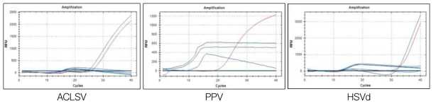 복숭아 바이러스, 바이로이드 qPCR 특이 프라이머 선발