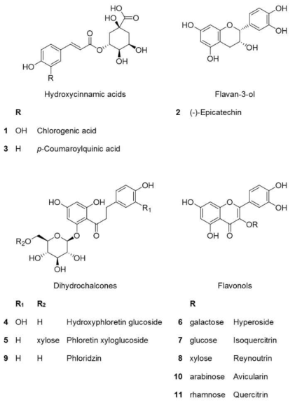 Structures of phenolic compounds in apple peel (1-11)