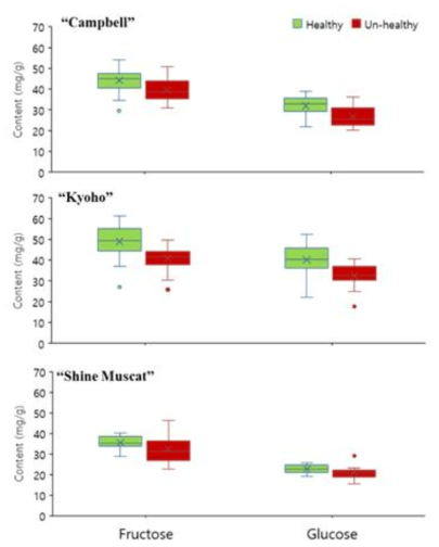 Box-plot of sugar contents in healthy and viroid-infected grapes of three grape cultivars