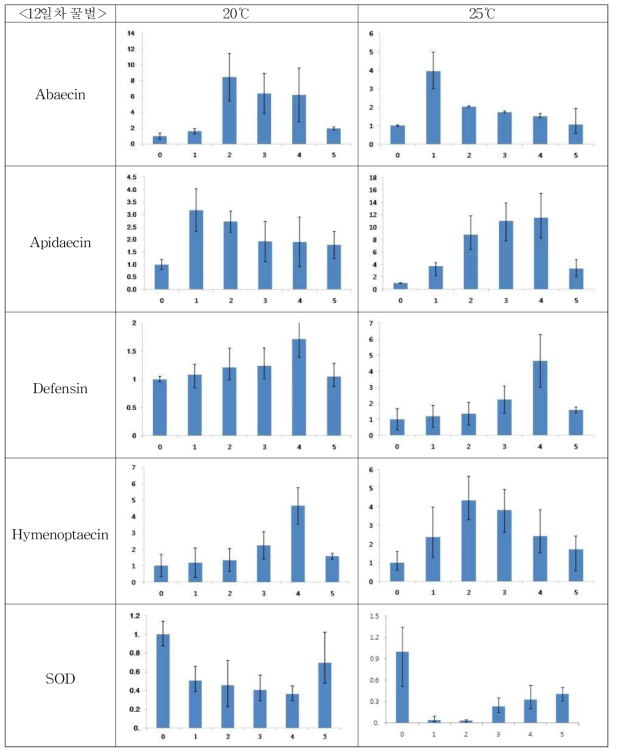 12일차 유충의 저온(20℃, 25℃) 노출 시간별 항균단백질 발현량 변화