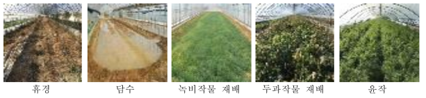 유기수박 재배지 토양 관리방법