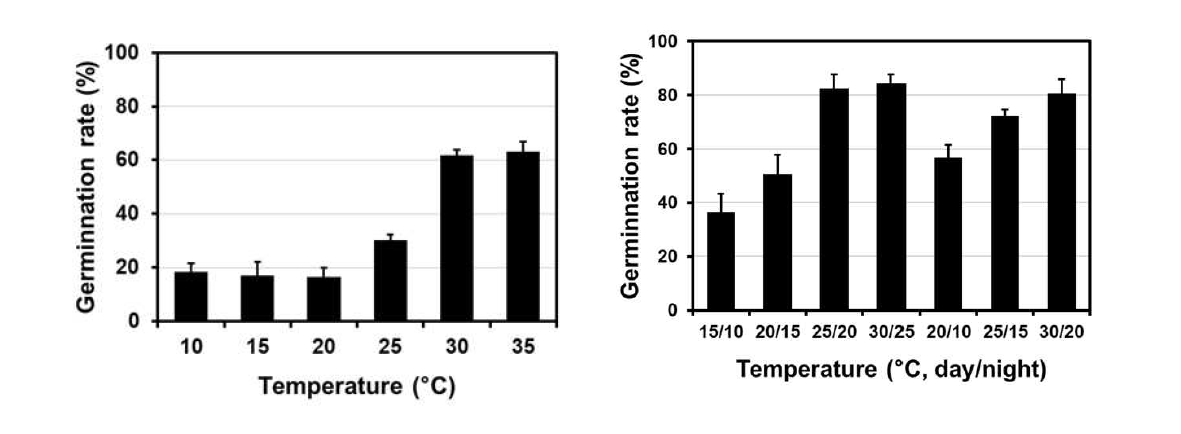 정온조건(좌)와 변온조건(우)에 따른 돼지풀의 발아율