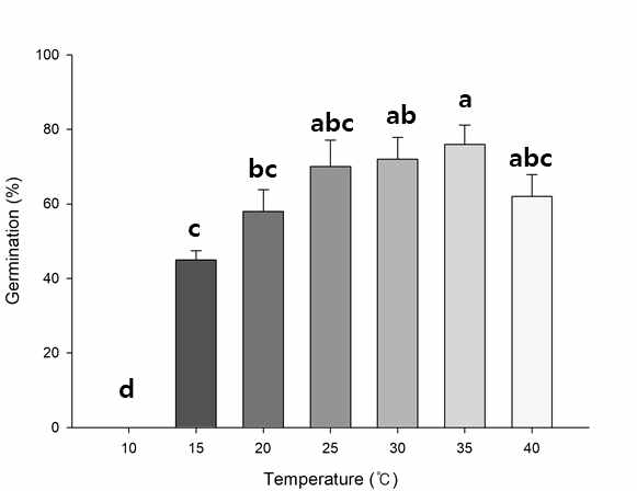 청비름의 정온조건별 발아율