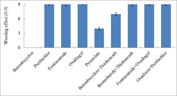 Weeding effects of Leptochloa fusca by the application of early soil treatment her bicides. Benzobicyclon(140 g a.i. ha-1), Pretilachlor (560 g a.i. ha-1), Fentrazamide (95 g a.i. ha-1), oxadiagyl (72 g a.i. ha-1), Pyrazolate (1,800 g a.i. ha-1), Benzobicyclon+Thiobencarb (1 25+1,500 g a.i. ha-1), Bromobutide+Thiobencarb (30+2,000 g a.i. ha-1), Fentrazamide+Oxadiag yl (80+52 g a.i. ha-1), Oxadiazon+Pretilachlor (240+480 g a.i. ha-1). Error bars represent the standard deviation of three replicates