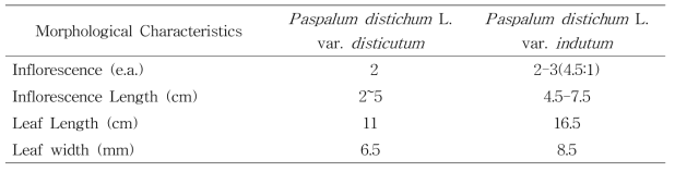 Differences in Morphological Characteristics between Paspalum distichum L. var. in dutum (털물참새피) and Paspalum distichum L. var. disticutum (물참새피)