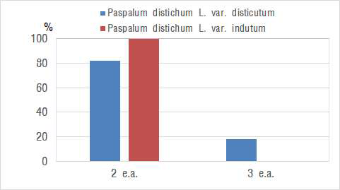 Difference of Inflorescence occur of Paspalum distichum L. var. disticutum and Paspalum distichum L. var. indutum