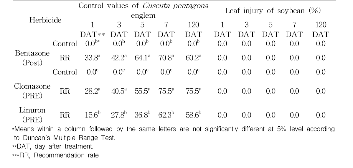 Effect of various herbicides on leaf injury in Cuscuta pentagona englem and soybean (cv. Daewon)