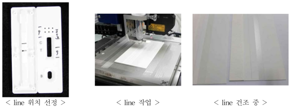 Test와 control line 위치 선정, 제작 모습 과 건조과정