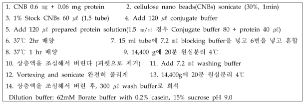 CNB를 이용한 conjugation protocol