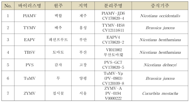 채집된 7종 식물바이러스에 대한 순수분리 및 증식