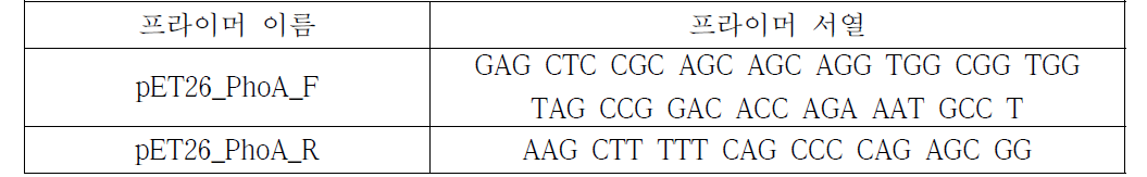 시각화단백질 증폭을 위한 프라이머 세트