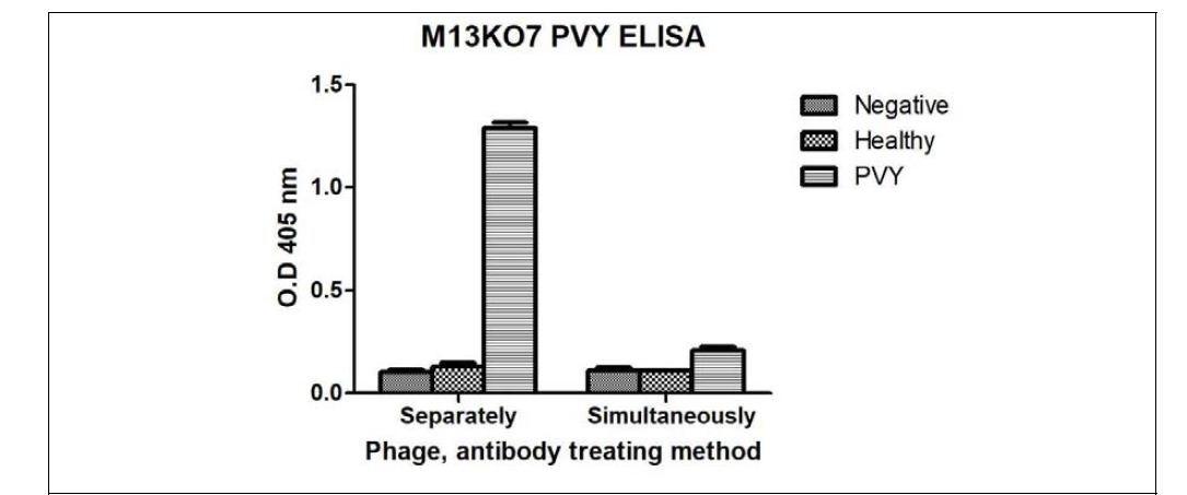 M13KO7을 이용한 ELISA kit 검정 방법의 최적화