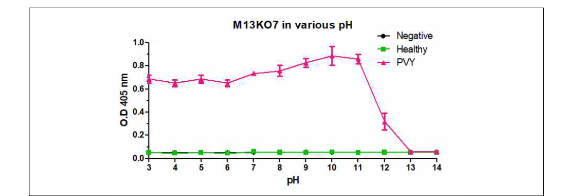 pH의 변화에 따른 M13KO7의 바이러스 진단 효율성 확인