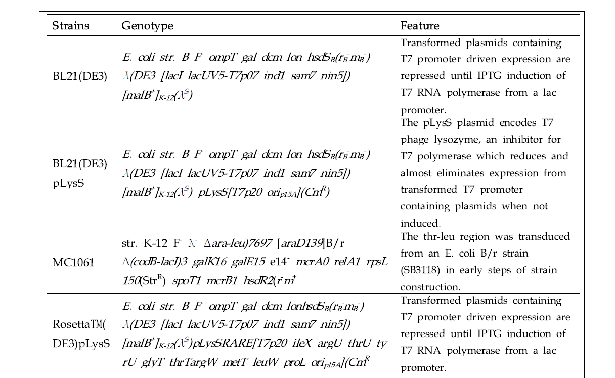 미니항체 고발현 선별 균주 Genotype 및 특징
