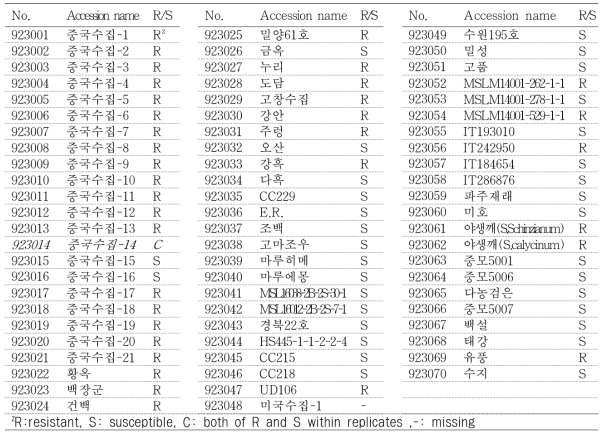 Evaluation of phytophthora blight resistance in parental lines of 2019(KACC.48120)