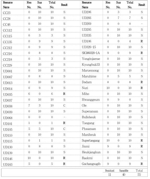 Evaluation of phytophthora blight resistance in sesame Core Collections and germplasm (KACC.48120)