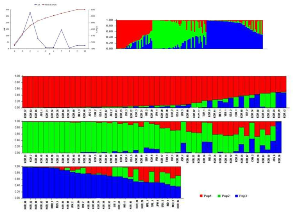 Estimated population structure of sesame accessions assessed by STRUCTURE. The different colors represent different groups inferred by STRUCTURE analysis: Pop1 = Red, Pop2 = Green, Pop3 = Blue