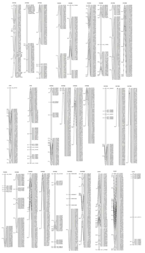 Sesame linkage map constructed using 90 (F5:7) RILs derived from Goenbaek and Osan