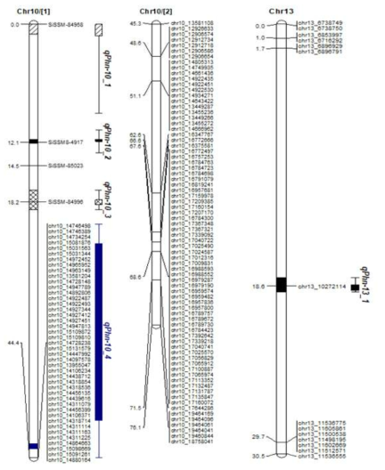 Linkage map for Goenbaek x Osan RIL population. Significant QTL related to Phn resistance (LOD > 2.0)