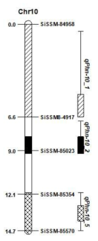 Positions of Phn resistance gene on chromosome 10. Reconfirmation of SSRs closely linked to the phytophthora resistance in 188 F5:7 RIL population derived from Goenbaek x Milsung