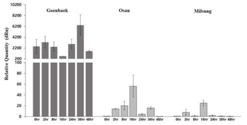 Quantitative real-time PCR (qRT-PCR) analyses of At1g58390 (LOC110012696) and mRNA expression levels of At1g58390 (LOC110012696) probable disease resistance protein at seven time-points (0, 2, 8, 16, 24, 36, and 48) hours after inoculations for Goenbaek, Osan, Milsung sesame cultivars, respectively