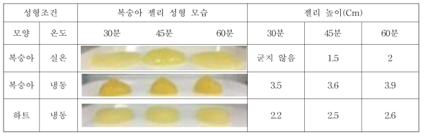 체험용 복숭아 젤리 성형 조건