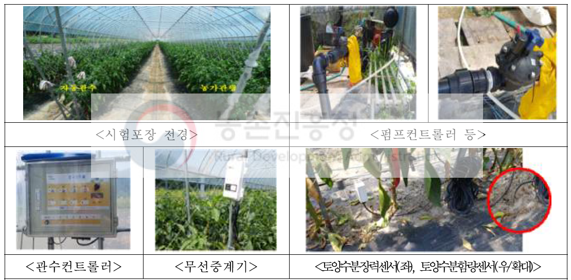 자동 물관리 자재 설치 현황(고추 포장)