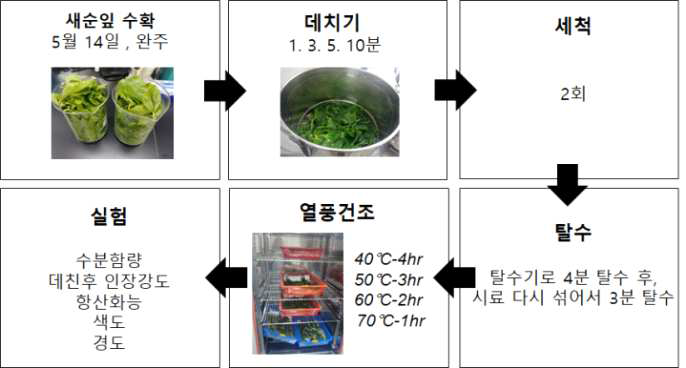 뽕잎새순나물 물리·화학적 특성 조사 과정