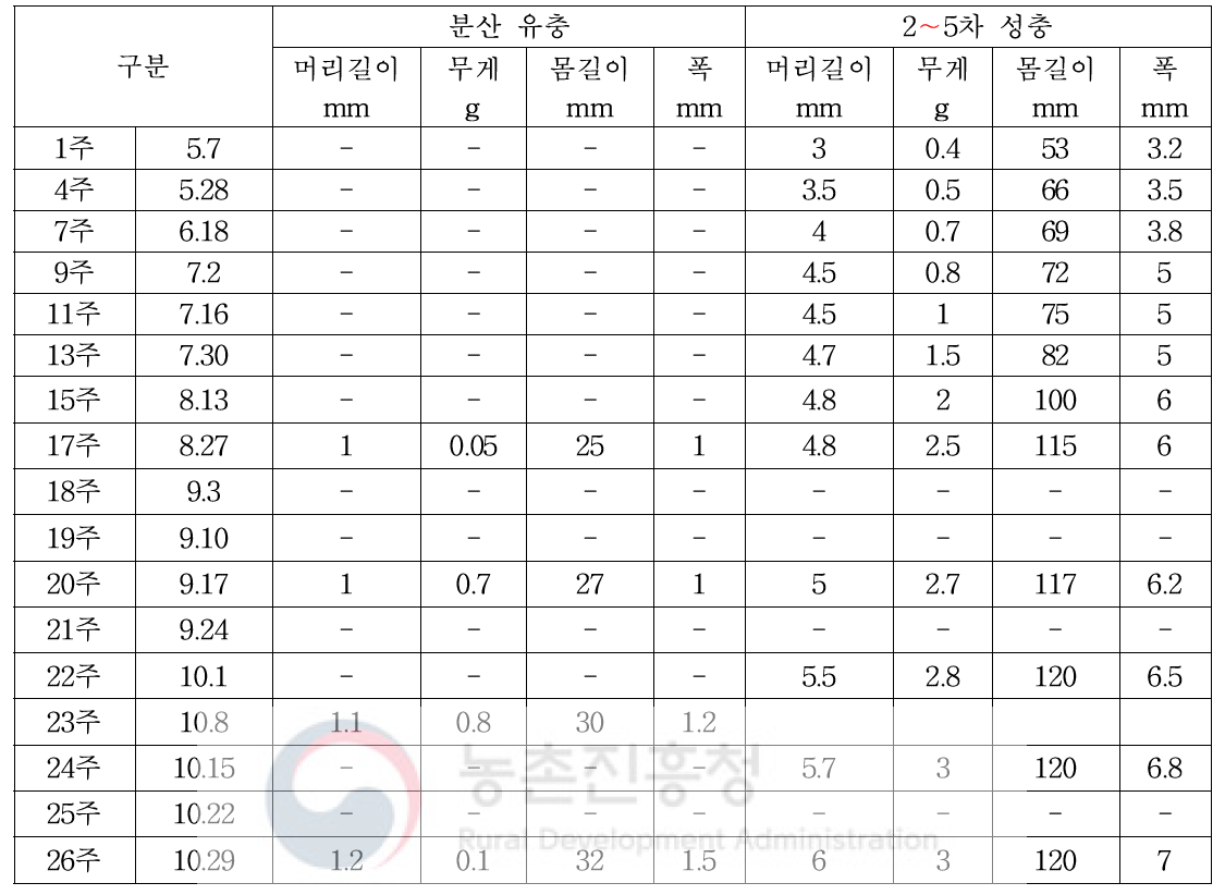 유충 및 성충의 성장 조사(화순)