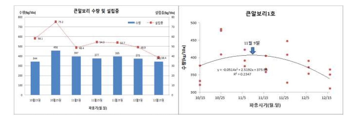 1차년도 파종시기에 따른 수량 및 파종적기