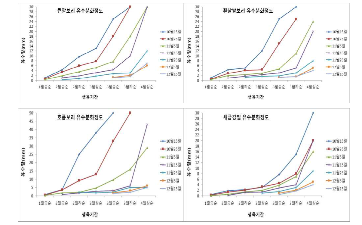 2차년도 맥종별 파종시기에 따른 유수장 변화