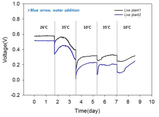 온도 변화에 따른 전기화학 신호 차이