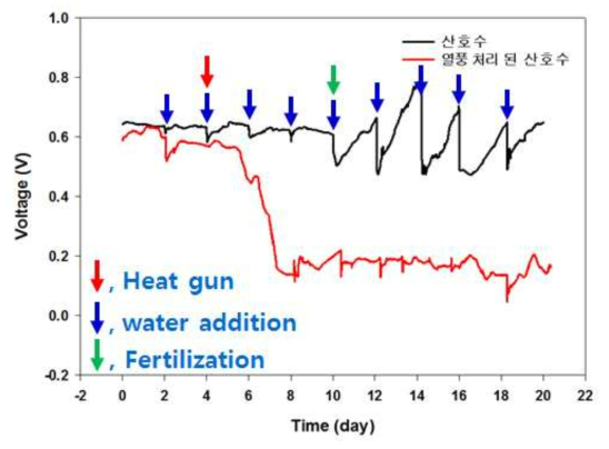 비료 공급에 따른 정상 식물과 고사 식물의 전기화학 신호 측정 결과