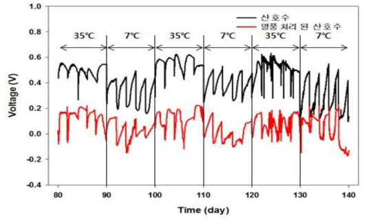 온도 변화에 따른 정상 식물과 고사 식물의 전기화학 신호 측정 결과
