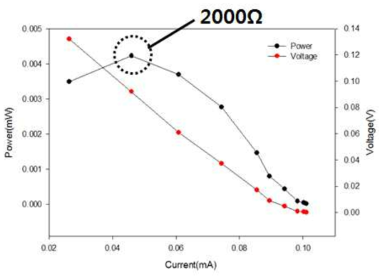 정상 식물과 고사 식물의 polarization curve